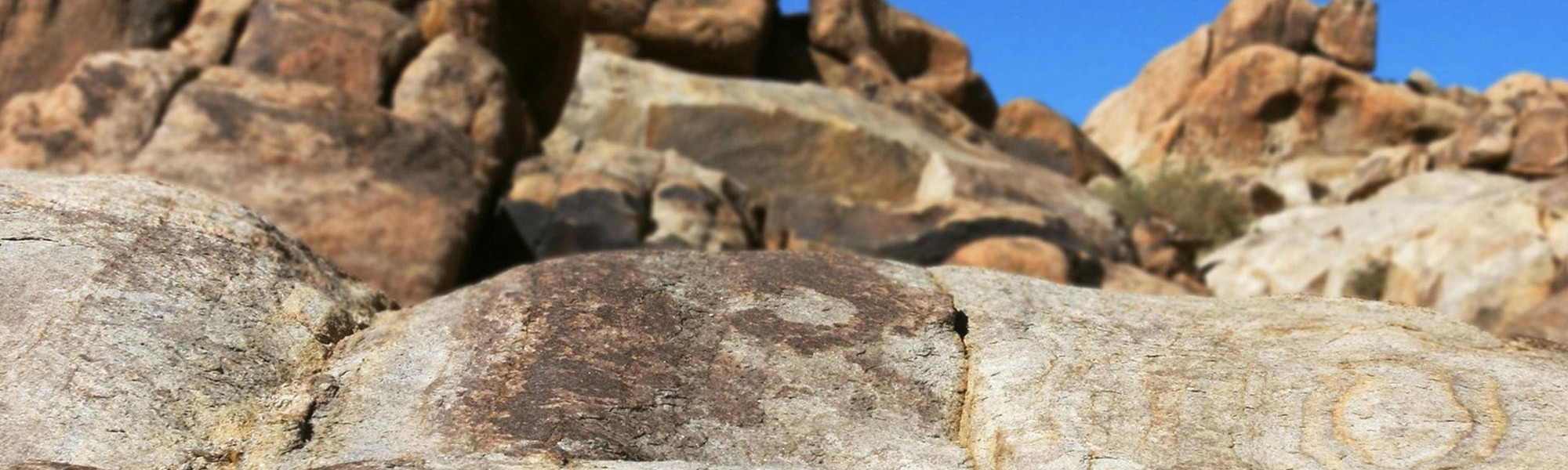 mudgrappler-banners-2000x600_0.