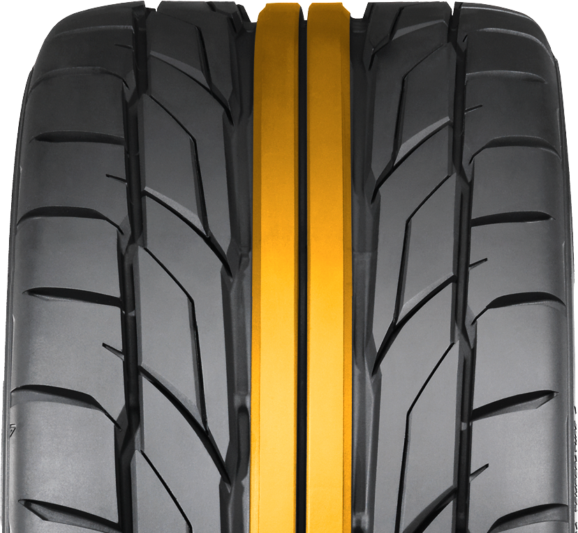 Nervures centrales doubles 